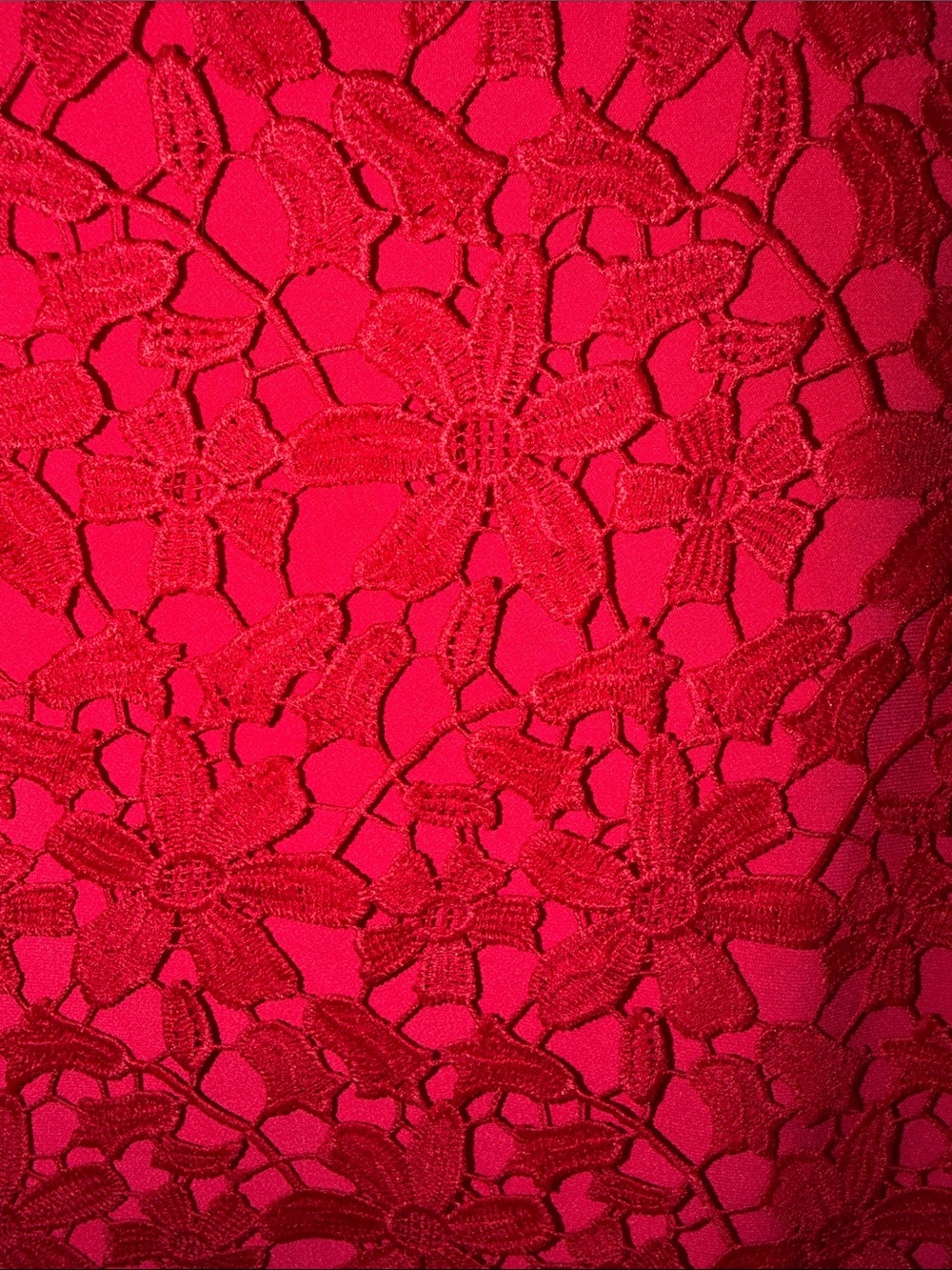 Lauren Ralph Lauren Red Floral Lace Midi Dress - Picture 4 of 9